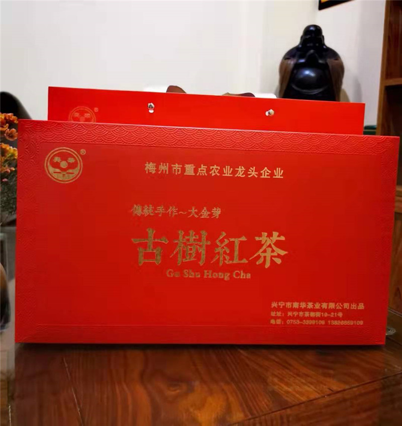 云南古树红茶一大金芽